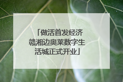 做活首发经济 赣湘边奥莱数字生活城正式开业