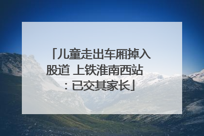 儿童走出车厢掉入股道 上铁淮南西站：已交其家长