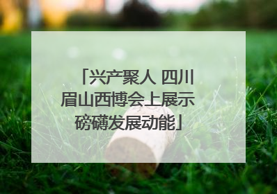 兴产聚人 四川眉山西博会上展示磅礴发展动能