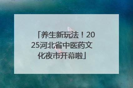 养生新玩法！2025河北省中医药文化夜市开幕啦