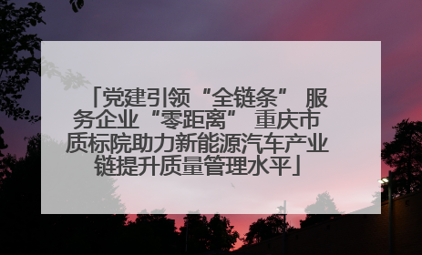 党建引领“全链条” 服务企业“零距离” 重庆市质标院助力新能源汽车产业链提升质量管理水平