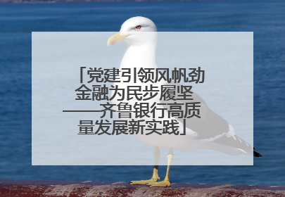 党建引领风帆劲 金融为民步履坚——齐鲁银行高质量发展新实践