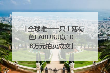 全球唯一一只！薄荷色LABUBU以108万元拍卖成交