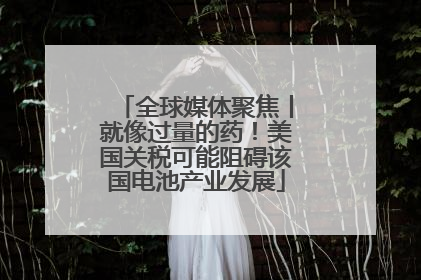 全球媒体聚焦丨就像过量的药！美国关税可能阻碍该国电池产业发展