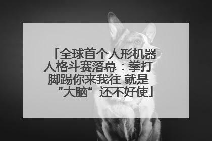 全球首个人形机器人格斗赛落幕：拳打脚踢你来我往 就是“大脑”还不好使