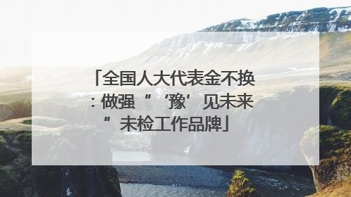 全国人大代表金不换：做强“‘豫’见未来”未检工作品牌
