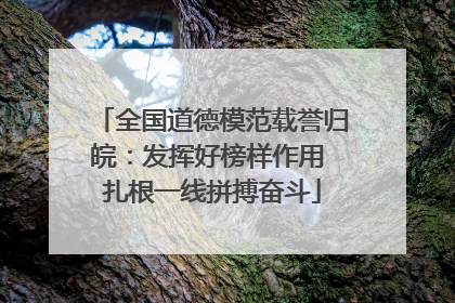 全国道德模范载誉归皖：发挥好榜样作用 扎根一线拼搏奋斗