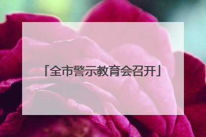全市警示教育会召开