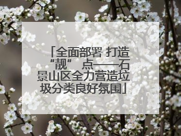 全面部署 打造“靓” 点——石景山区全力营造垃圾分类良好氛围