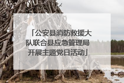 公安县消防救援大队联合县应急管理局开展主题党日活动