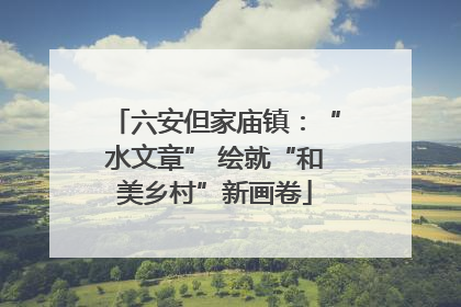 六安但家庙镇：“水文章” 绘就“和美乡村”新画卷