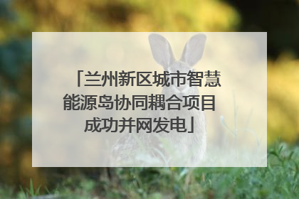 兰州新区城市智慧能源岛协同耦合项目成功并网发电
