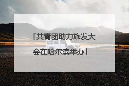 共青团助力旅发大会在哈尔滨举办