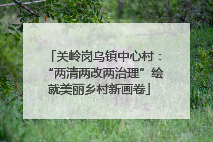 关岭岗乌镇中心村：“两清两改两治理”绘就美丽乡村新画卷