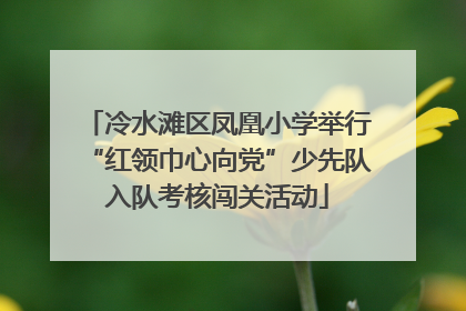 冷水滩区凤凰小学举行“红领巾心向党”少先队入队考核闯关活动
