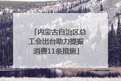 内蒙古自治区总工会出台助力提振消费11条措施