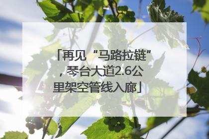 再见“马路拉链”，琴台大道2.6公里架空管线入廊