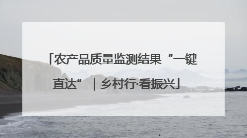 农产品质量监测结果“一键直达”｜乡村行·看振兴