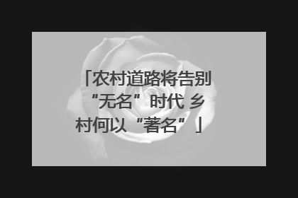 农村道路将告别“无名”时代 乡村何以“著名”
