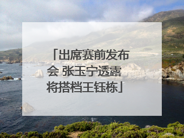 出席赛前发布会 张玉宁透露将搭档王钰栋