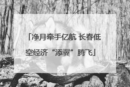 净月牵手亿航 长春低空经济“添翼”腾飞