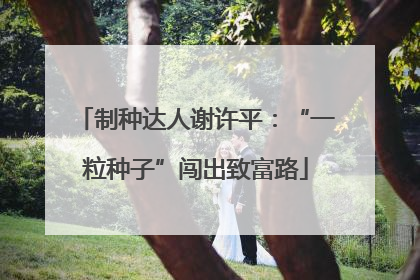 制种达人谢许平：“一粒种子”闯出致富路