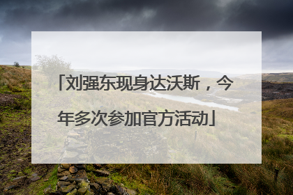 刘强东现身达沃斯，今年多次参加官方活动