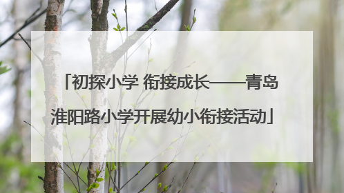 初探小学 衔接成长——青岛淮阳路小学开展幼小衔接活动