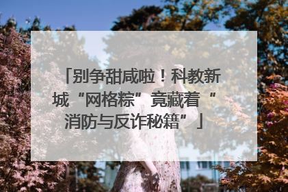别争甜咸啦！科教新城“网格粽”竟藏着“消防与反诈秘籍”