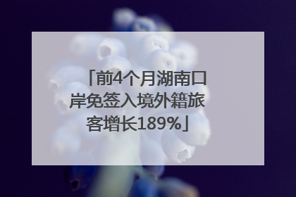 前4个月湖南口岸免签入境外籍旅客增长189%