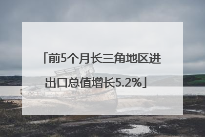 前5个月长三角地区进出口总值增长5.2%