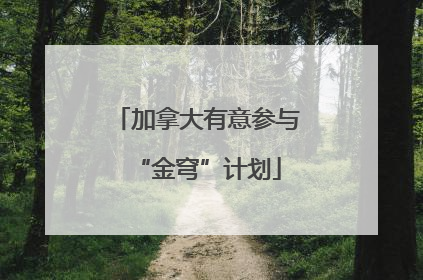 加拿大有意参与“金穹”计划