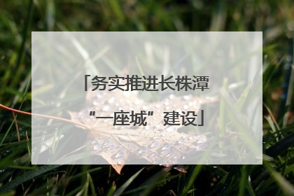 务实推进长株潭“一座城”建设