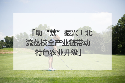 助“荔”振兴！北流荔枝全产业链带动特色农业升级