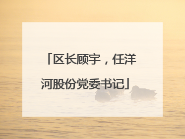 区长顾宇，任洋河股份党委书记