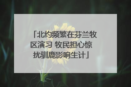 北约频繁在芬兰牧区演习 牧民担心惊扰驯鹿影响生计