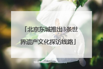北京东城推出3条世界遗产文化探访线路