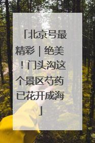 北京号最精彩｜绝美！门头沟这个景区芍药已花开成海