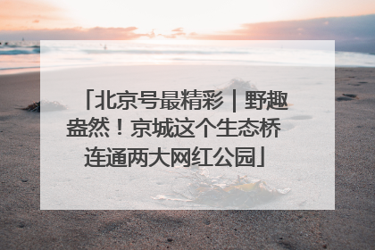 北京号最精彩｜野趣盎然！京城这个生态桥连通两大网红公园