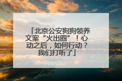 北京公安狗狗领养文案“火出圈”！心动之后，如何行动？我们打听了