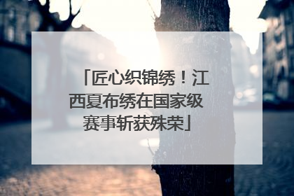 匠心织锦绣！江西夏布绣在国家级赛事斩获殊荣