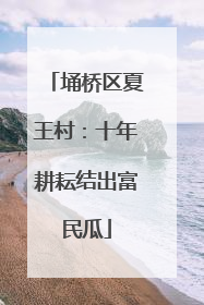 埇桥区夏王村：十年耕耘结出富民瓜