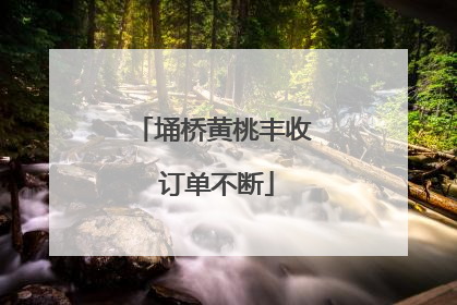 埇桥黄桃丰收 订单不断