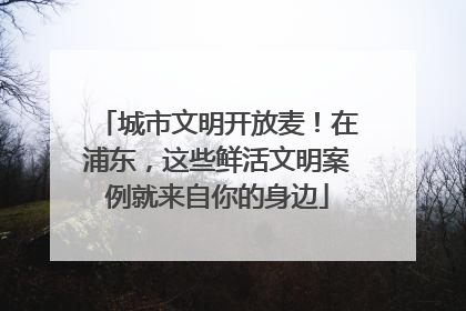 城市文明开放麦！在浦东，这些鲜活文明案例就来自你的身边