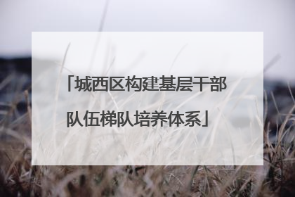 城西区构建基层干部队伍梯队培养体系