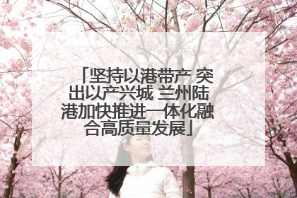 坚持以港带产 突出以产兴城 兰州陆港加快推进一体化融合高质量发展