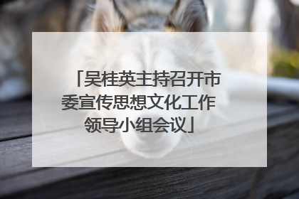 吴桂英主持召开市委宣传思想文化工作领导小组会议