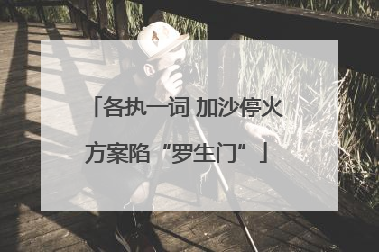 各执一词 加沙停火方案陷“罗生门”