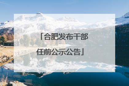 合肥发布干部任前公示公告