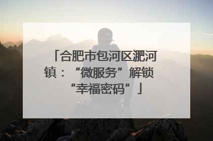 合肥市包河区淝河镇：“微服务”解锁“幸福密码”